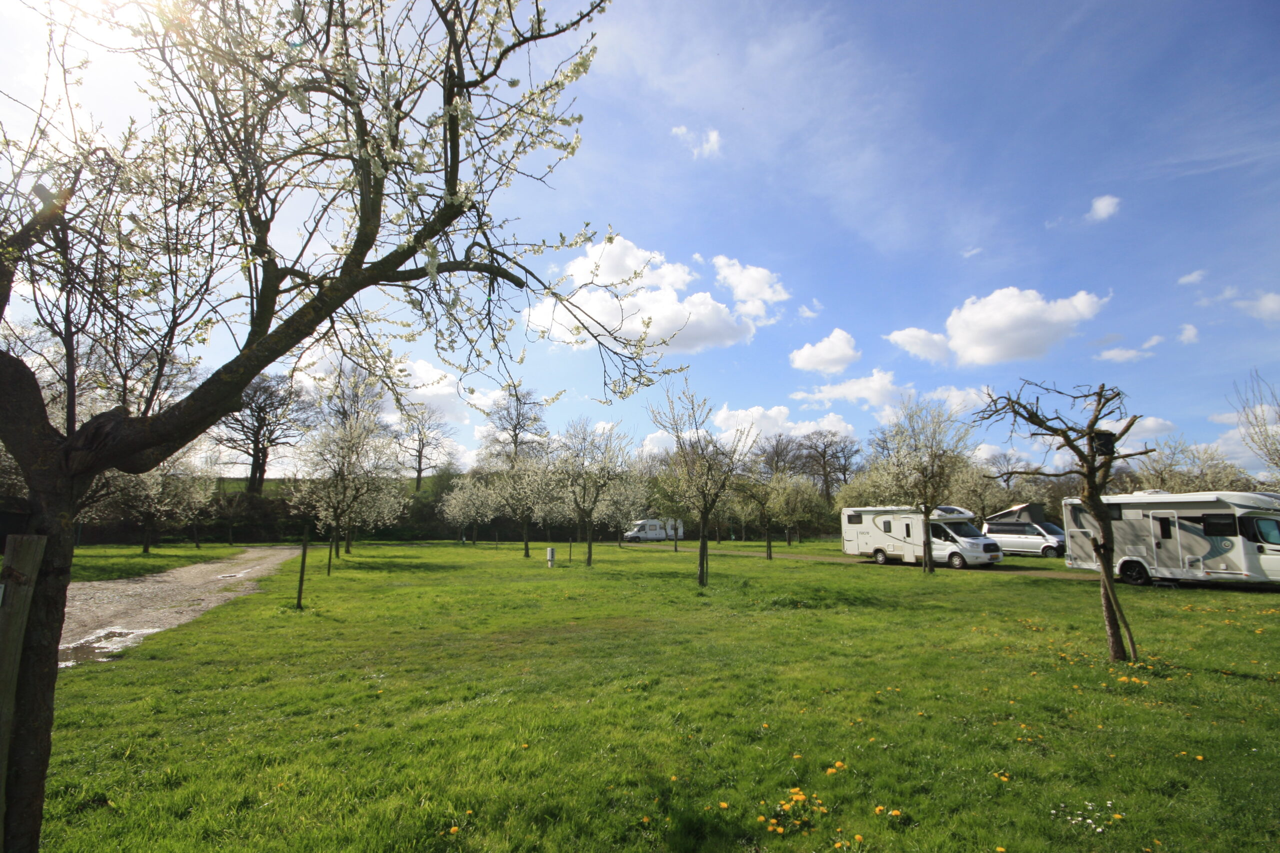 Schone sanitaire voorzieningen op de camping